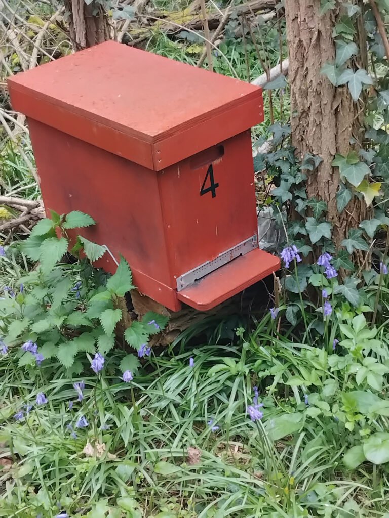 Le Monde du Miel